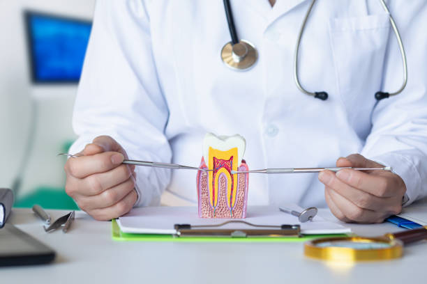 Best Broken or Cracked Tooth Emergency Dentist in Galion, OH